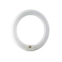 CIRCLE FLUORINE BULB BIG SIZE