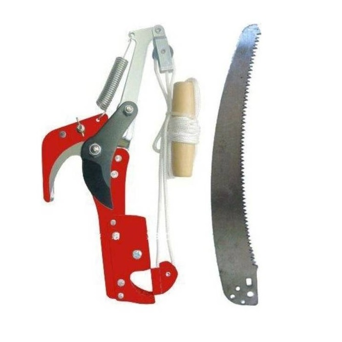 ΠΡΙΟΝΙ ΚΛΑΔΕΜΑΤΟΣ ΚΟΝΤΑΡΙΟΥ (ΜΕ ΣΚΟΙΝΙ)