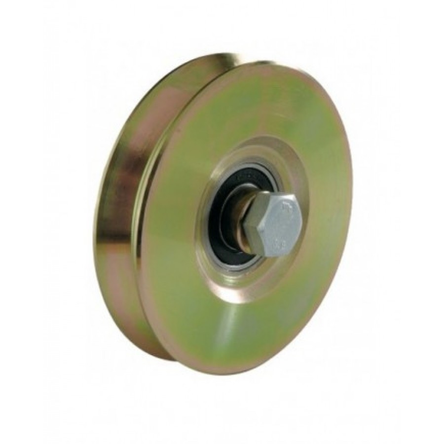 ΡΟΔΑ ΠΥΡΡΟΥ Φ100