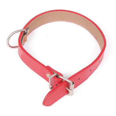 ΛΟΥΡΙ ΣΚΥΛΟΥ