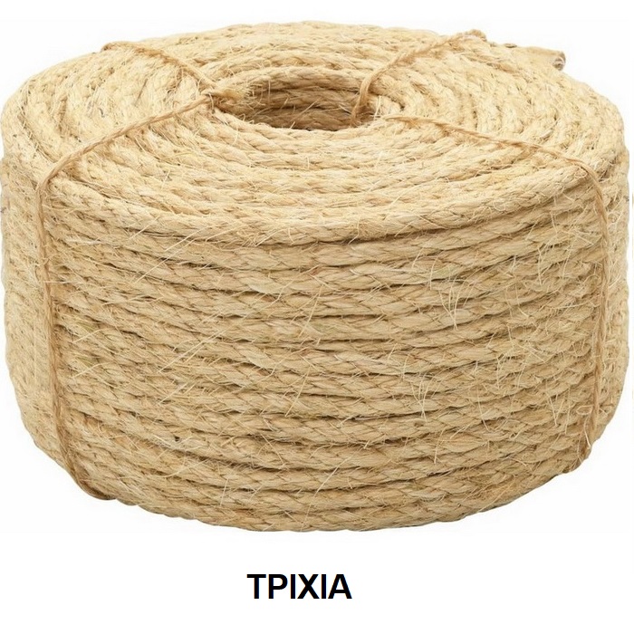 ΣΧΟΙΝΙ  ΣΙΖΑΛ (ΤΡΙΧΙΑ)