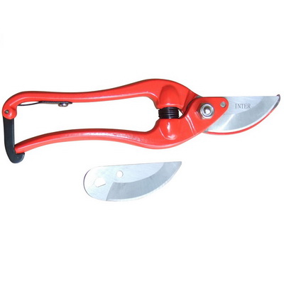 ΨΑΛΙΔΑ ΚΛΑΔΕΜΑΤΟΣ ΚΙΝΑΣ