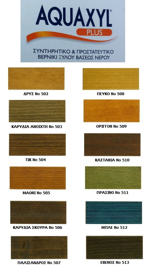 AQUAXYL ACTIVE 511 ΠΡΑΣΙΝΟ 750ML - Image 2